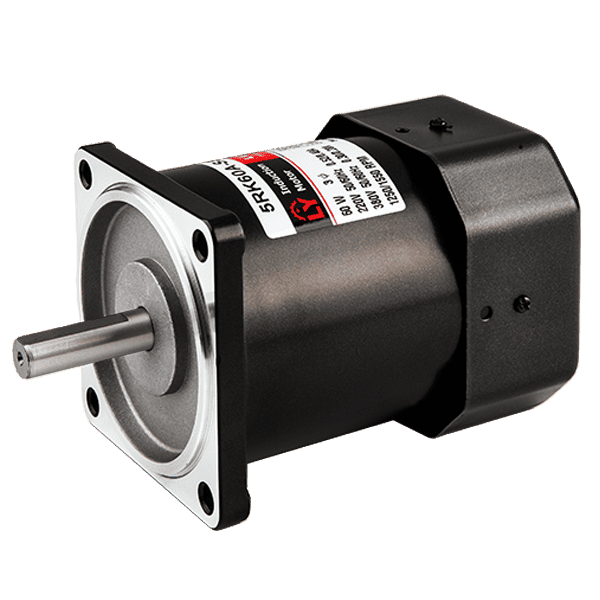 Reversible Motor Luyang AC