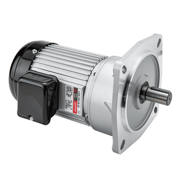 LV Vertical Gear Motor Luyang