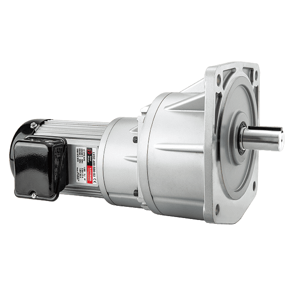 LV Vertical High Ratio Gear Motor  Luyang