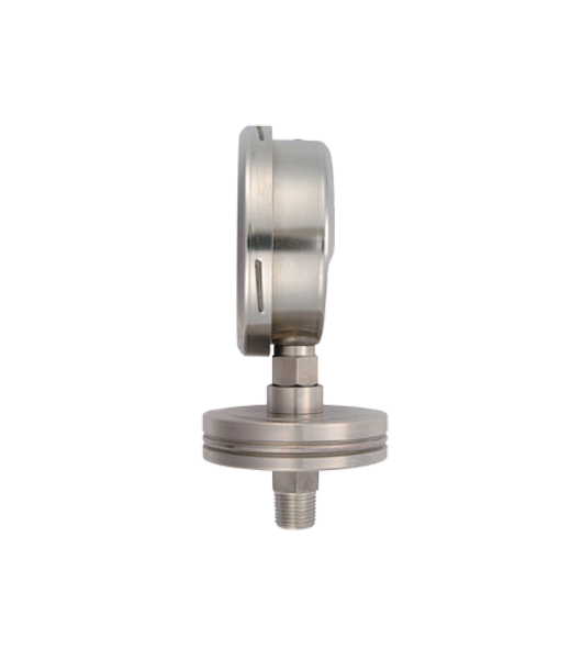 Đồng hồ đo áp suất Skon JF-100-90-S316